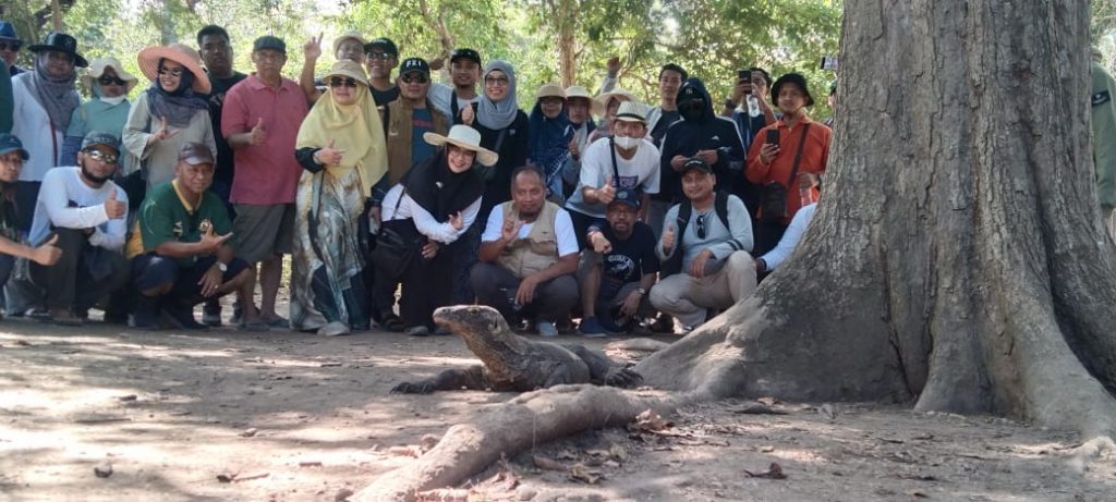 one day tour komodo package