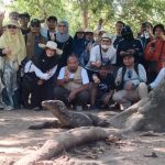 one day tour komodo package