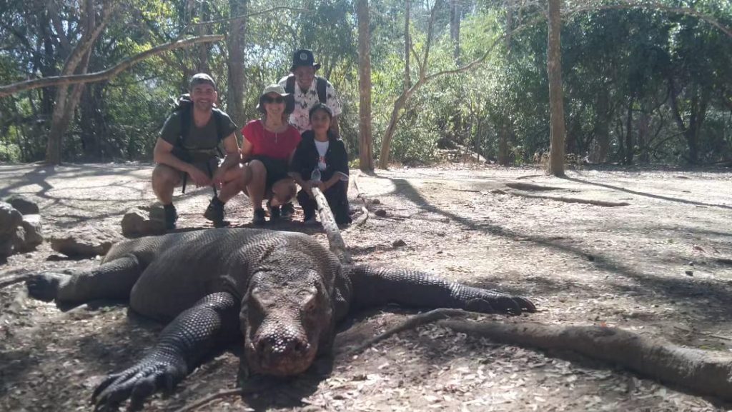 Komodo Tour Package