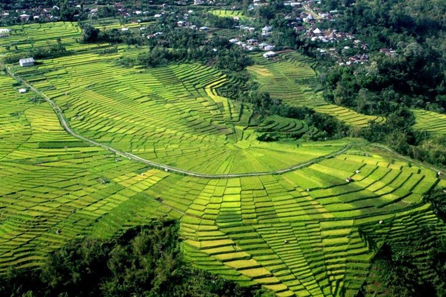 203-RUTENG