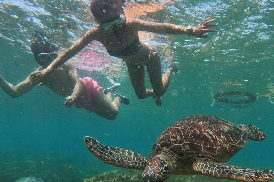 Bali-Komodo-Tours---04