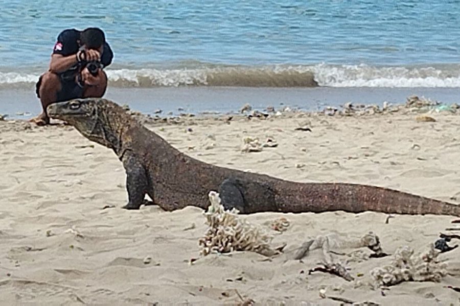 Bali-Komodo-Tours---13