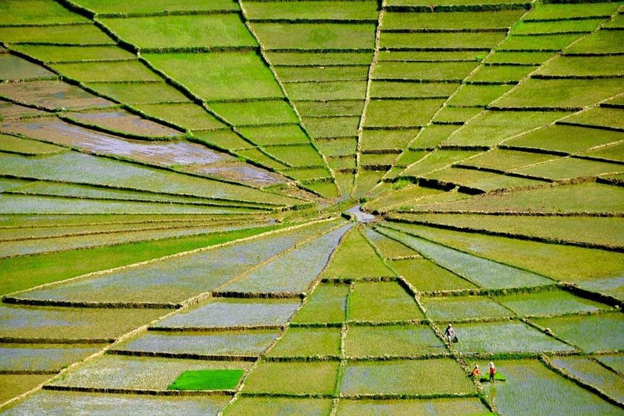 Bali-Komodo-Tours---18