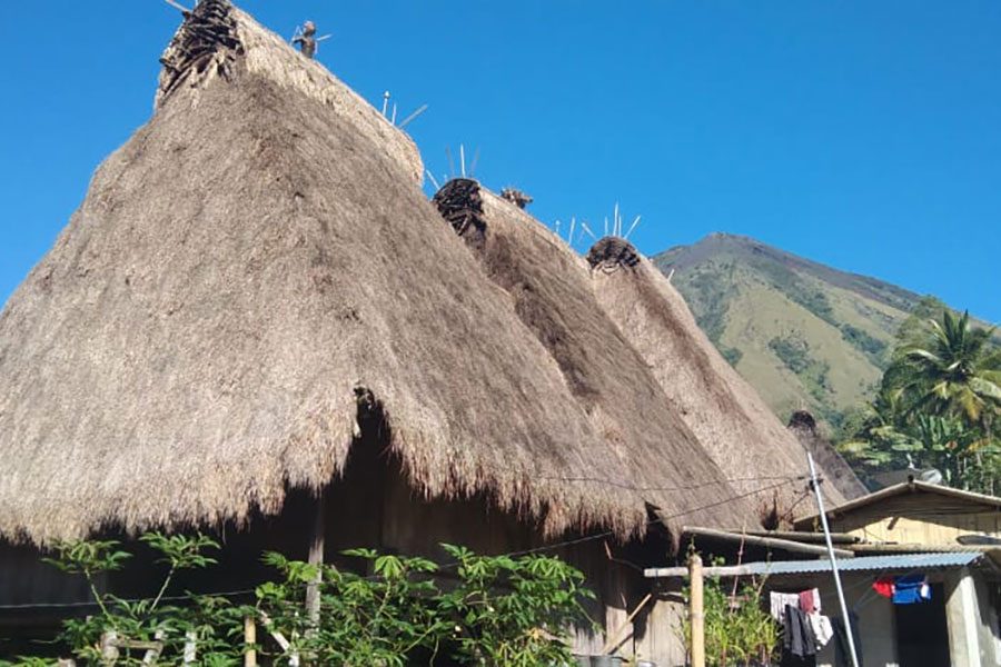 Bali-Komodo-Tours---22