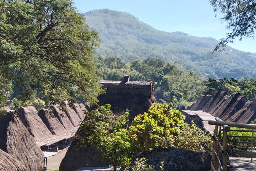 Bali-Komodo-Tours---23
