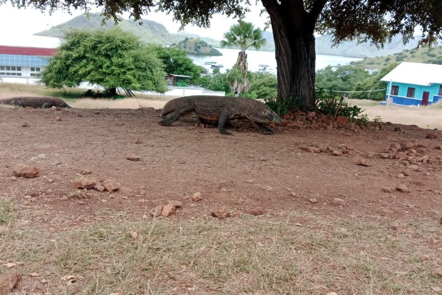 WhatsApp Image 2025-04-24 at 12.01.45