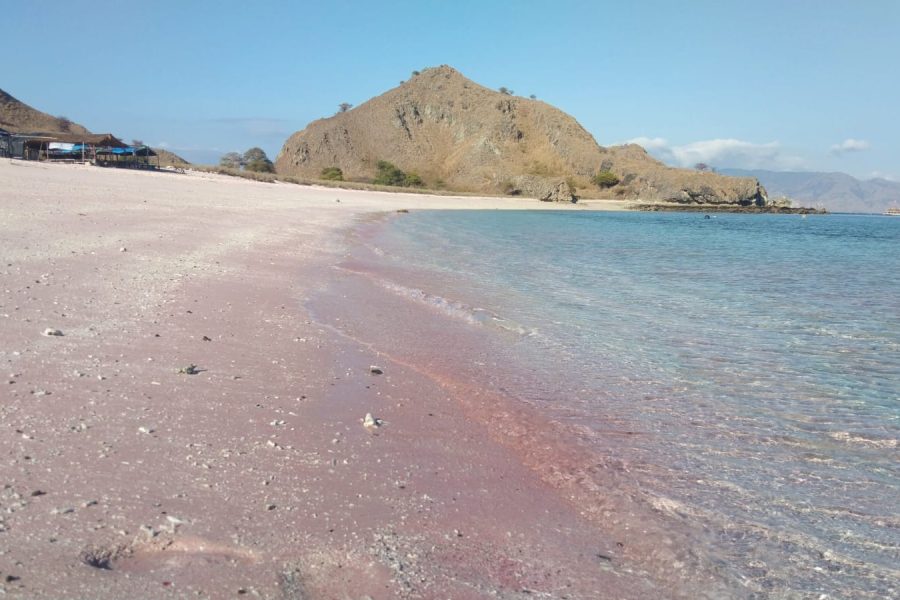 PINK BEACH