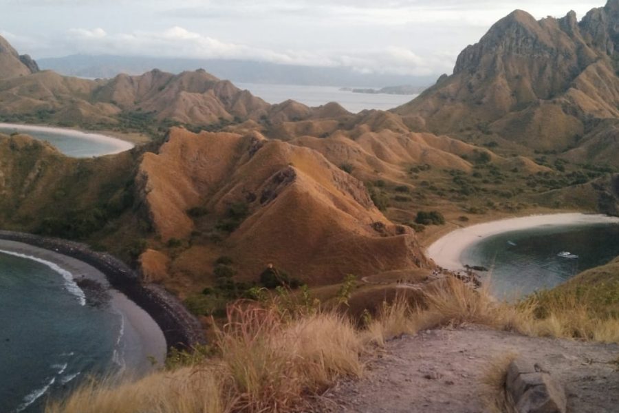 WhatsApp Image 2025-04-24 at 12.23.43 (2)