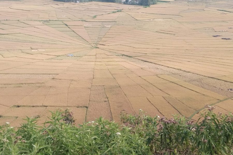 WhatsApp Image 2025-04-24 at 12.23.44