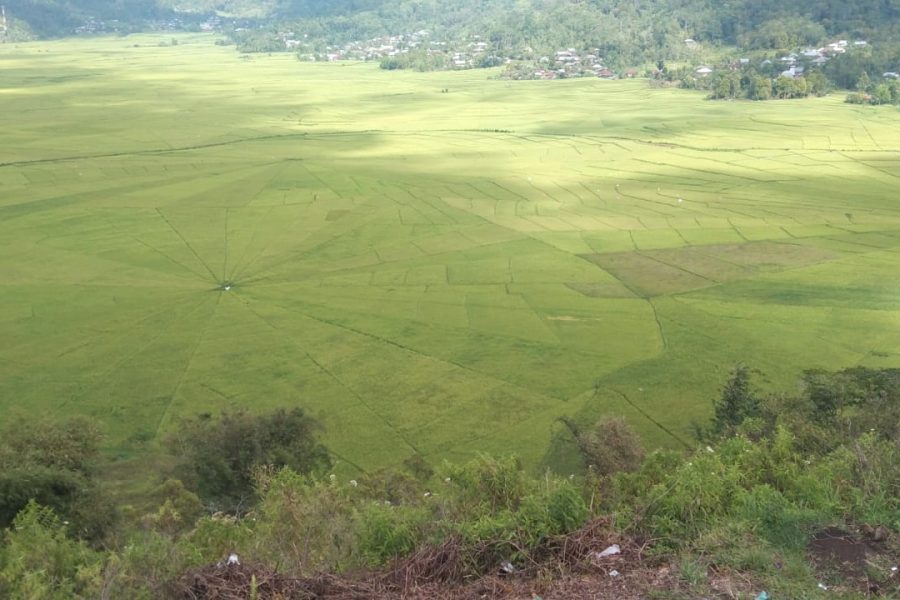 WhatsApp Image 2025-04-24 at 12.23.46 (1)