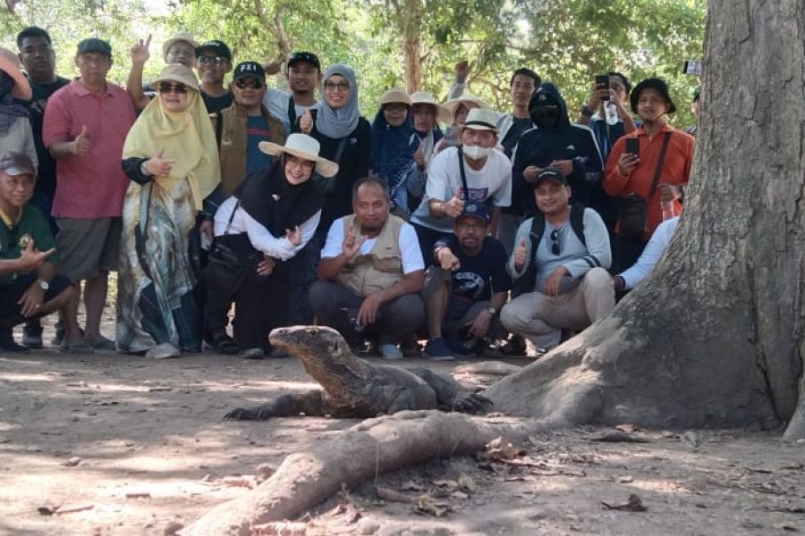 one day tour komodo package