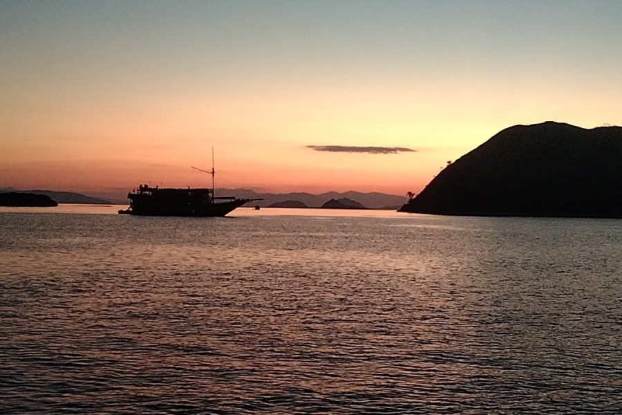 WhatsApp Image 2025-04-25 at 08.41.28 (2)