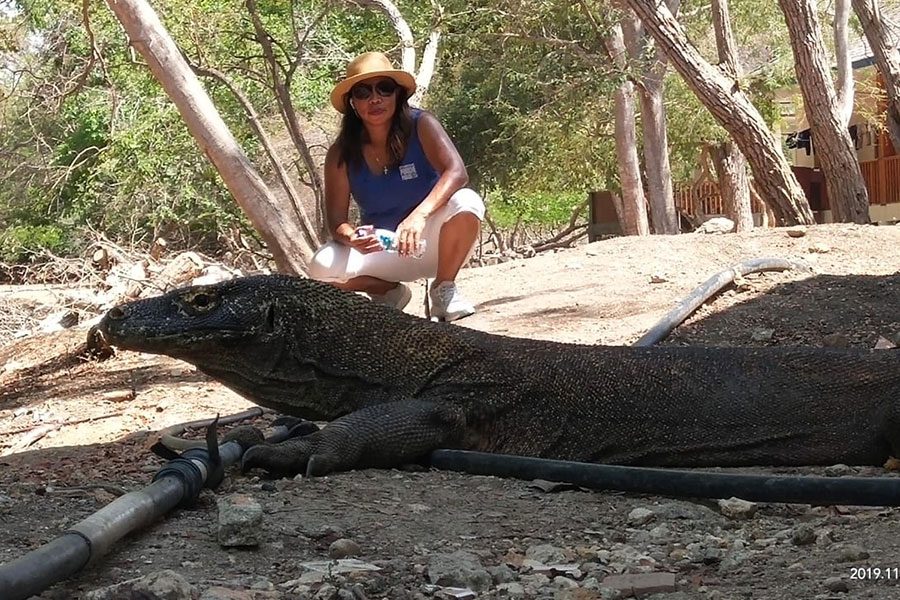 Flores Overland Komodo Tour