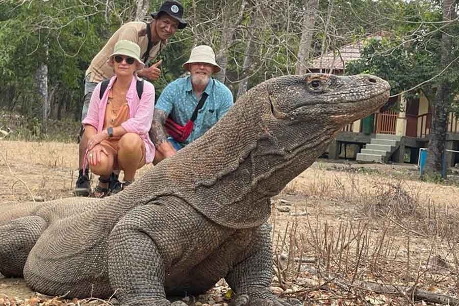 Komodo National Nark